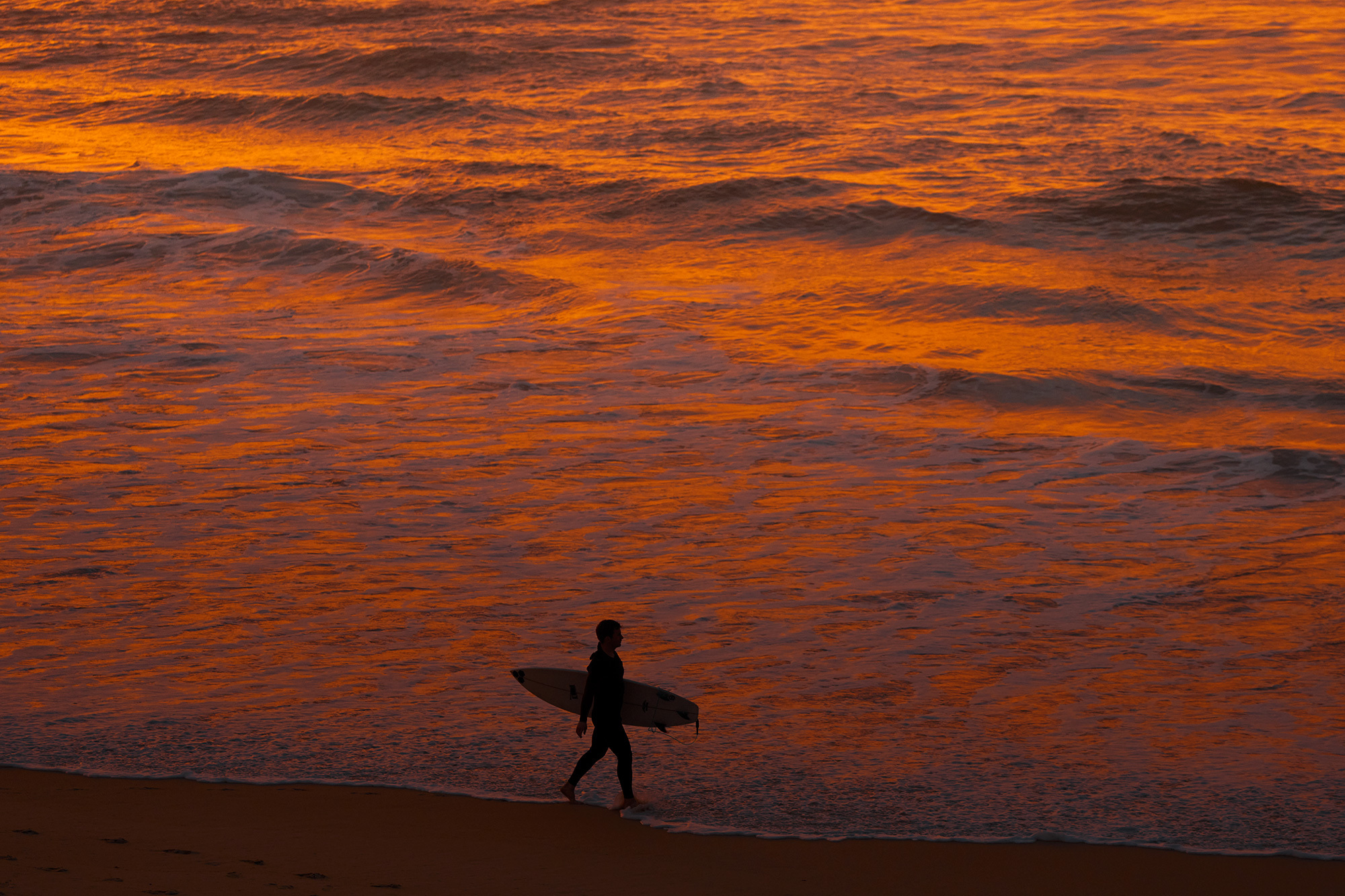 A surfer walking the beach at sunset